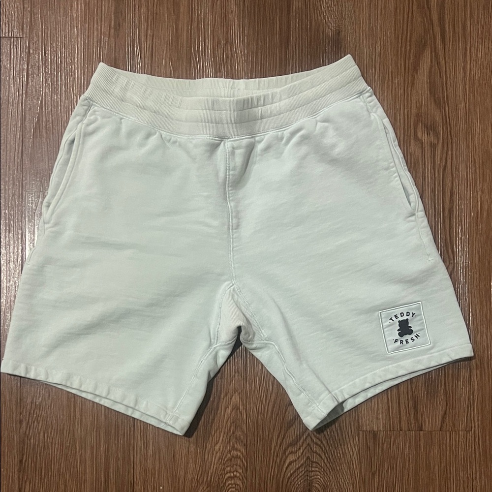 Teddy Fresh Men's Light green Athletic Shorts